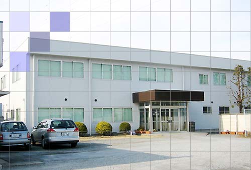 CTS --Web Site--